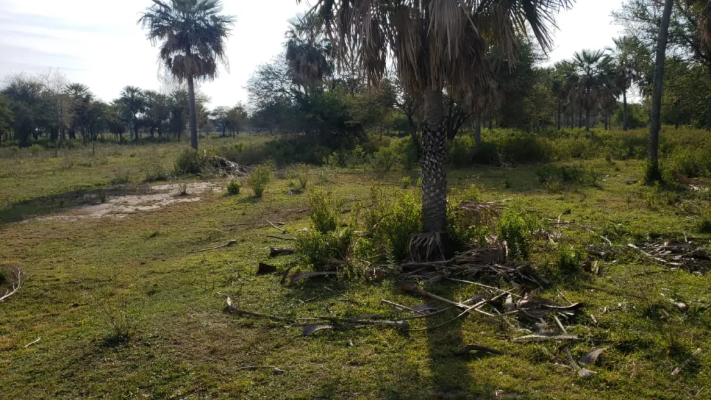 FABULOSO TERRENO PARA INVERSIÓN SOBRE RUTA JOSÉ FALCÓN — foto 2