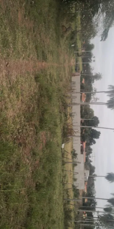 Terreno en Cañada San Rafael - Luque a 50 metros de la ruta — foto 3