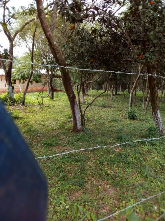 VENDO 3 TERRENOS EN CORDILLERA ALTOS COD 3450 — foto 3