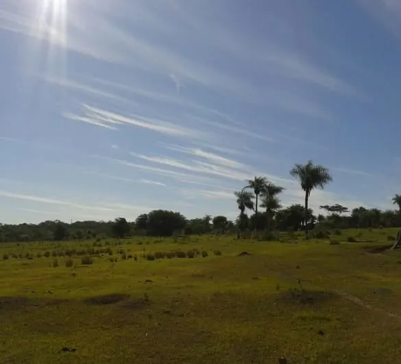 VENDO 45 HECTAREAS EN PARAGUARI CERCA DE CAÑADA, ROQUE GONZALES COD 3449 — foto 2