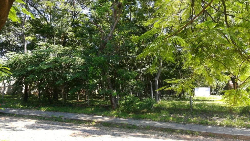 VENDO TERRENO EN EL CORAZON DE LOS LAURELES — foto 2