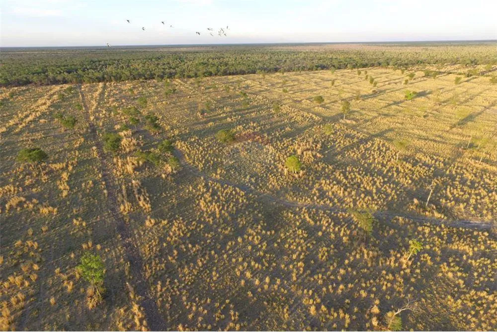 Estancia en funcionamiento - Pozo Colorado 7,000,000 USD — foto 3