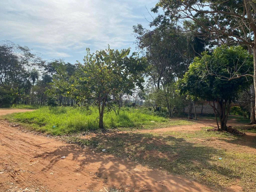 TERRENO EN VENTA EN LUQUE — foto 3