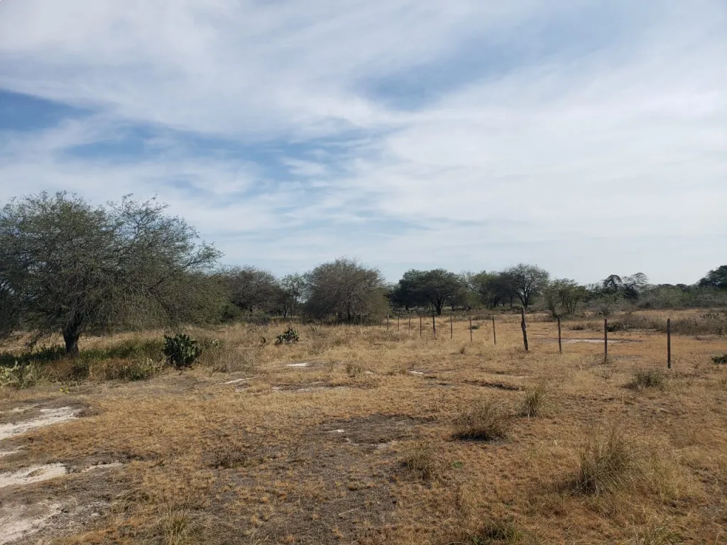 INTERESANTE INVERSIÓN-VENDO TERRENO CERCA DE RUTA FALCÓN — foto 2
