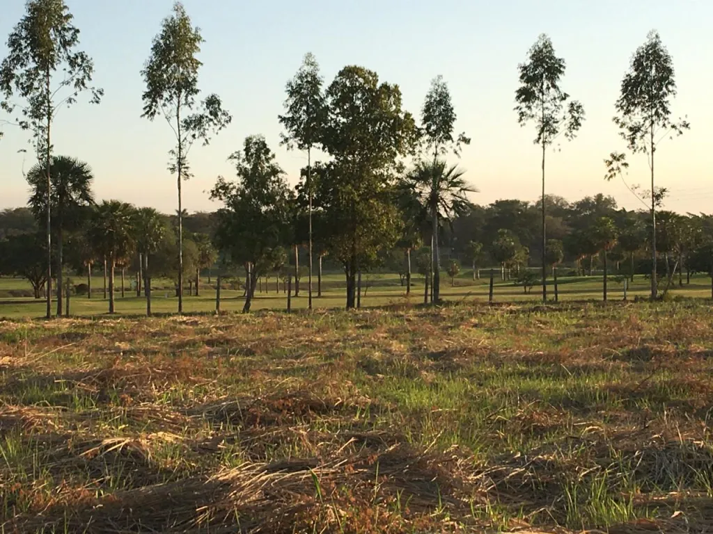 Terreno 2.300 m2 sobre el Campo de Golf en Venta - Surubii — foto 3