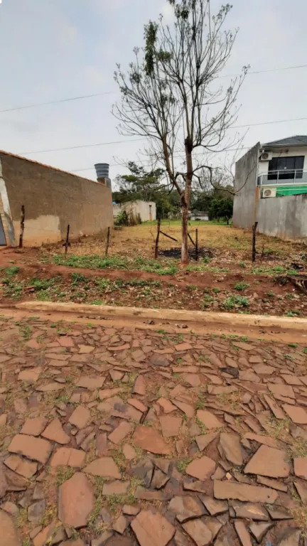 Ofertó hermoso terreno en Encarnacion San Isidro — foto 2