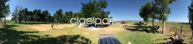 Hemoso campo de 306 hectáreas Agroganaderas en Caraguatay, Cordillera sobre ruta — foto 3