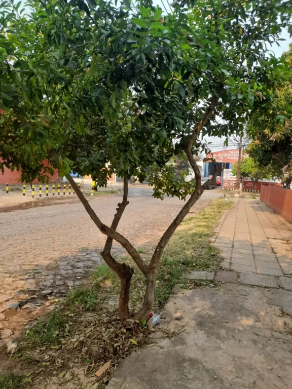 VENDO TERRENO EN ASUNCIÓN ZONA TERMINAL COD 3935 — foto 2
