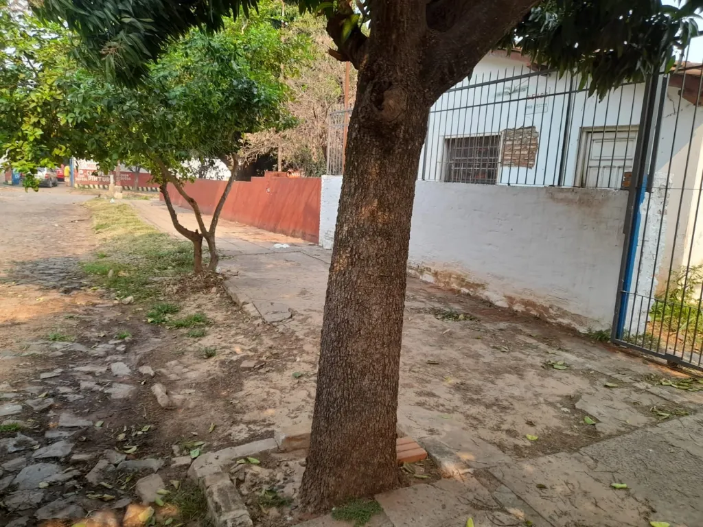 VENDO TERRENO EN ASUNCIÓN ZONA TERMINAL COD 3935 — foto 3