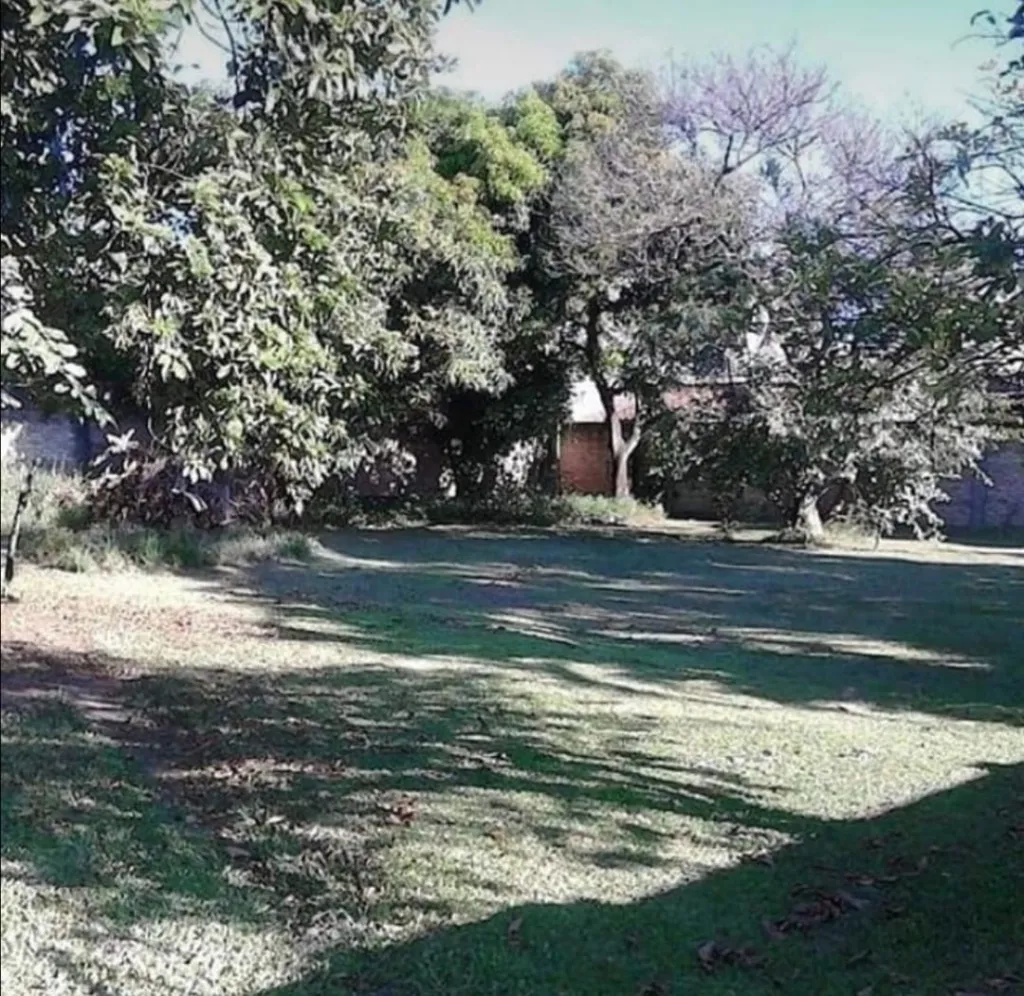 VENDO 2 TERRENOS JUNTOS EN BARRIO HERRERA — foto 2