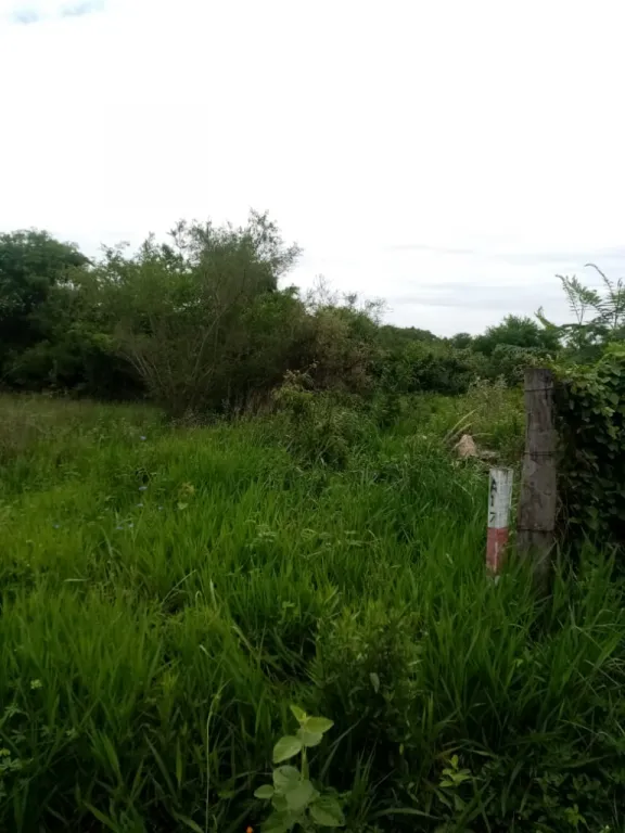 En Urbanización Surubi-y frente a Surubi-y Ecuestre terreno de 1050 m2 — foto 2