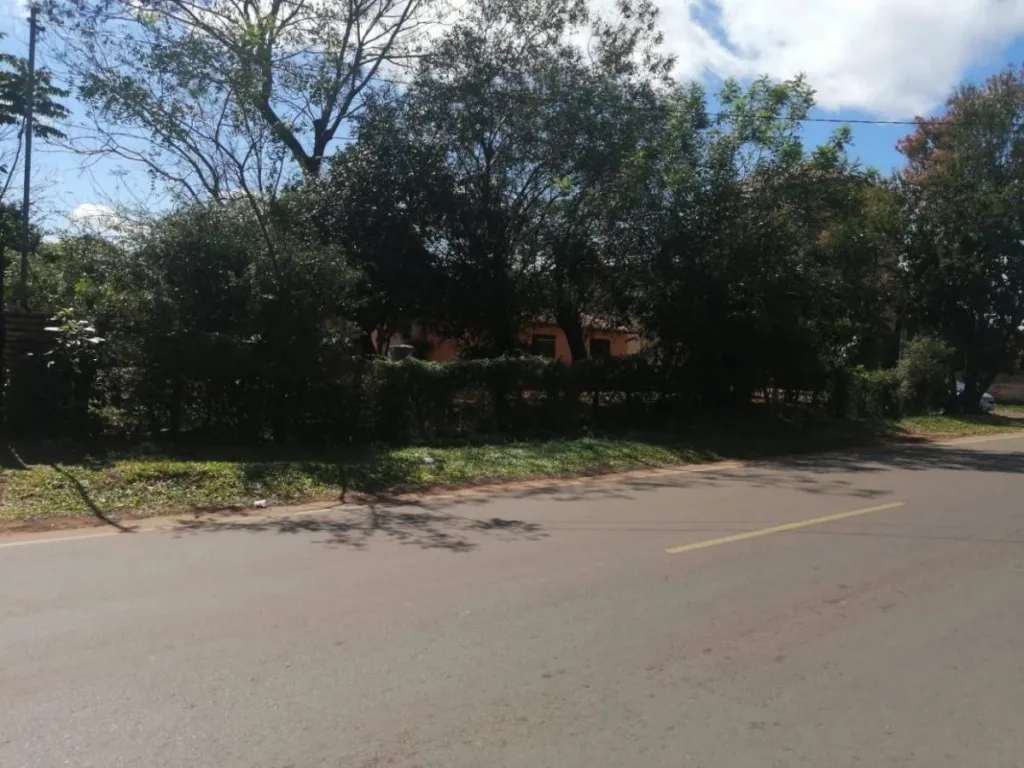 Vendo Terreno Barrio Laurelty Luque — foto 2
