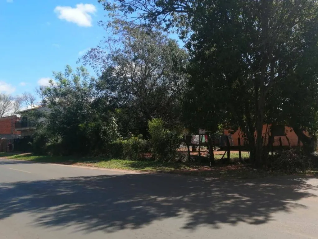 Vendo Terreno Barrio Laurelty Luque — foto 3