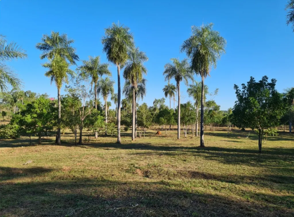 Venta de lotes en la ciudad más limpia, ATYRA. — foto 2