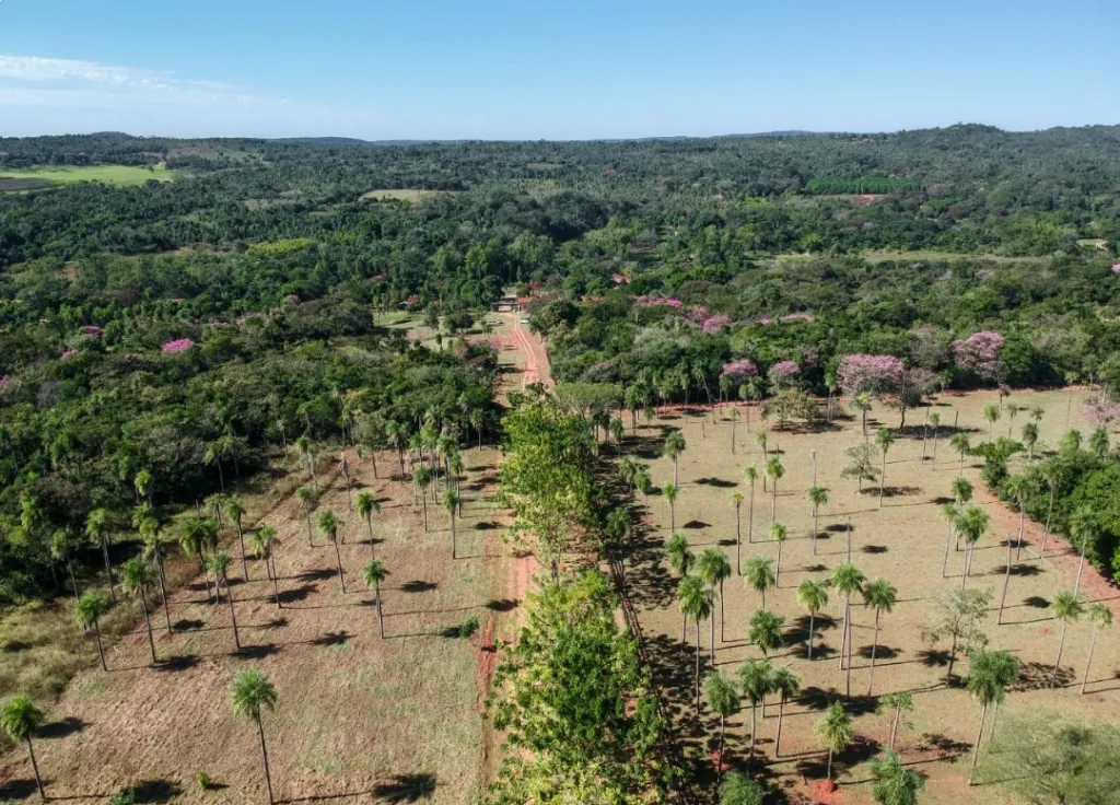 Venta de lotes en la ciudad más limpia, ATYRA. — foto 3