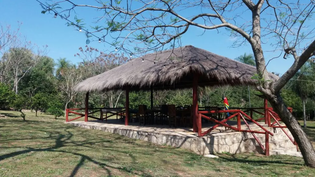 EstanciaCampo - Venta - Paraguay Cordillera Nueva Colombia -Loma grande — foto 2