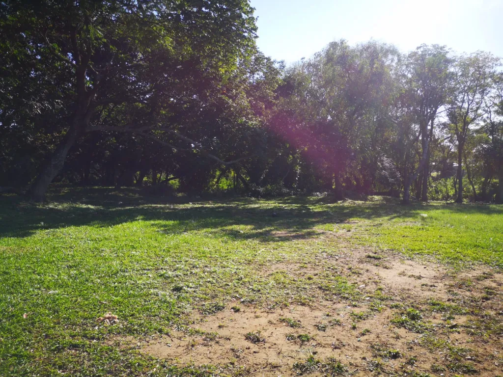 San Lorenzo Zona Laurelty 11.000 m2 — foto 2
