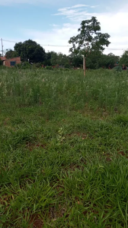 Terreno de 390 m2 en Rojas Cañada Capiatá a 5 cuadras del asfaltado y a 12 del empedrado — foto 3