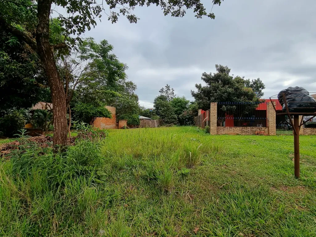 𝐕𝐞𝐧𝐝𝐨 𝐓𝐞𝐫𝐫𝐞𝐧𝐨 📍Km 18, Monday, Minga Guazu- Alto Paraná — foto 2