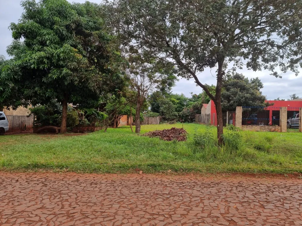 𝐕𝐞𝐧𝐝𝐨 𝐓𝐞𝐫𝐫𝐞𝐧𝐨 📍Km 18, Monday, Minga Guazu- Alto Paraná — foto 3