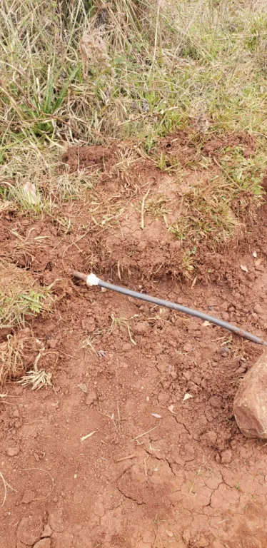 5,3 Hectáreas de Tierra Mecanizada — foto 2