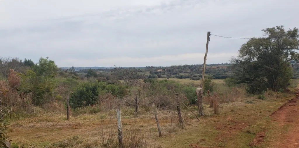 5,3 Hectáreas de Tierra Mecanizada — foto 3