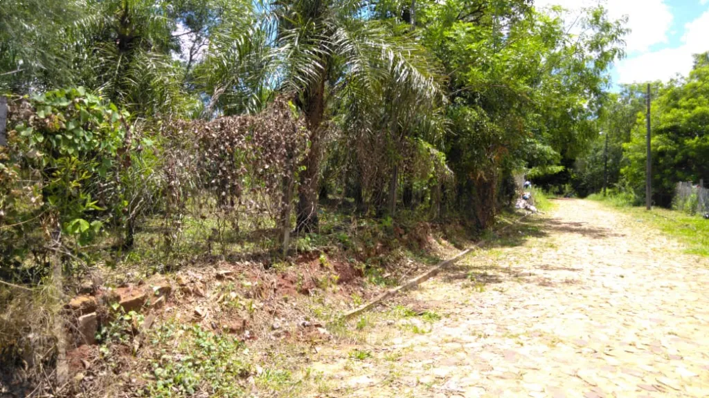 Vendo 2 terreno hermosos en Luque 720 m2! — foto 2
