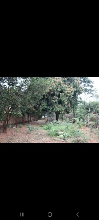 Amplio terreno en villa elisa — foto 3