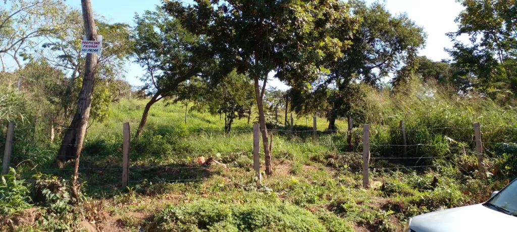 VENDO HERMOSO TERRENO EN LIMPIO — foto 2