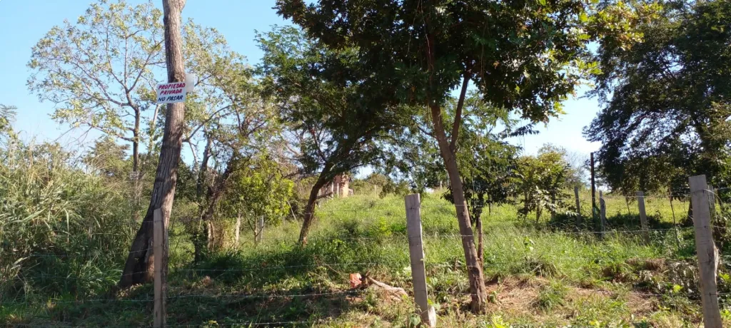 VENDO HERMOSO TERRENO EN LIMPIO — foto 3