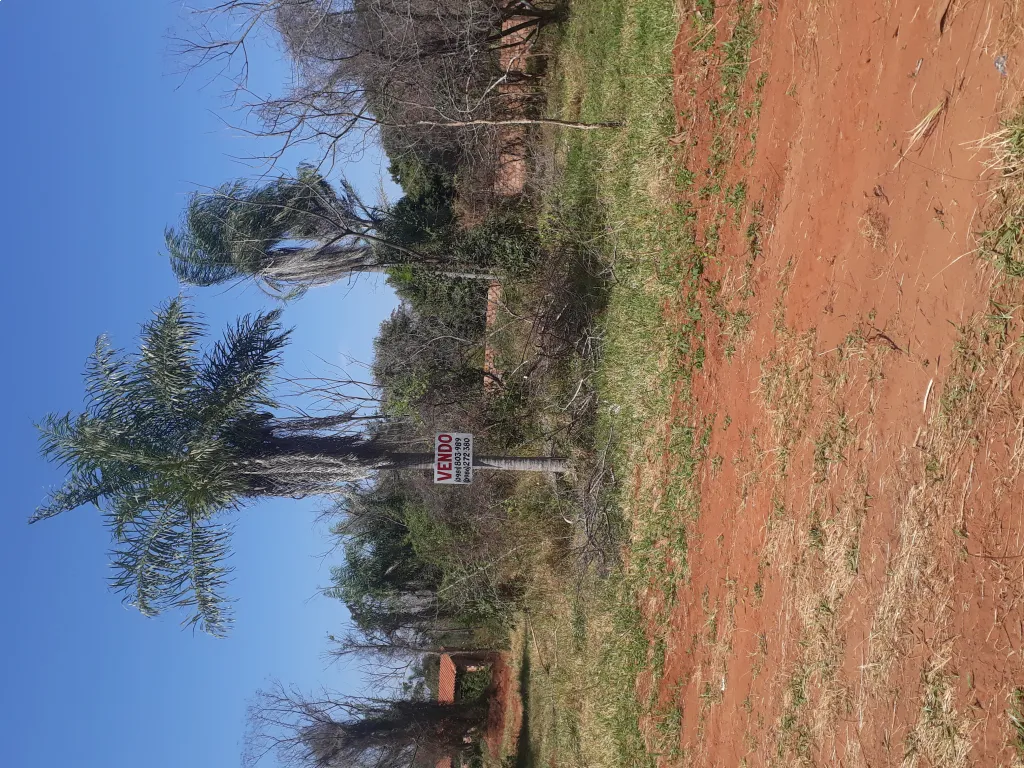 ZONA CENTRICA DE ITAUGUA VENDO 2 TERRENOS JUNTOS O SEPARADOS A 400MTRS DEL ASFALTO PATIÑO — foto 2