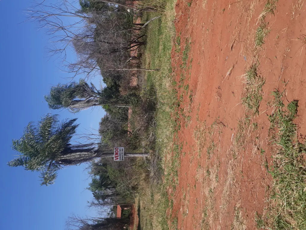 ZONA CENTRICA DE ITAUGUA VENDO 2 TERRENOS JUNTOS O SEPARADOS A 400MTRS DEL ASFALTO PATIÑO — foto 3