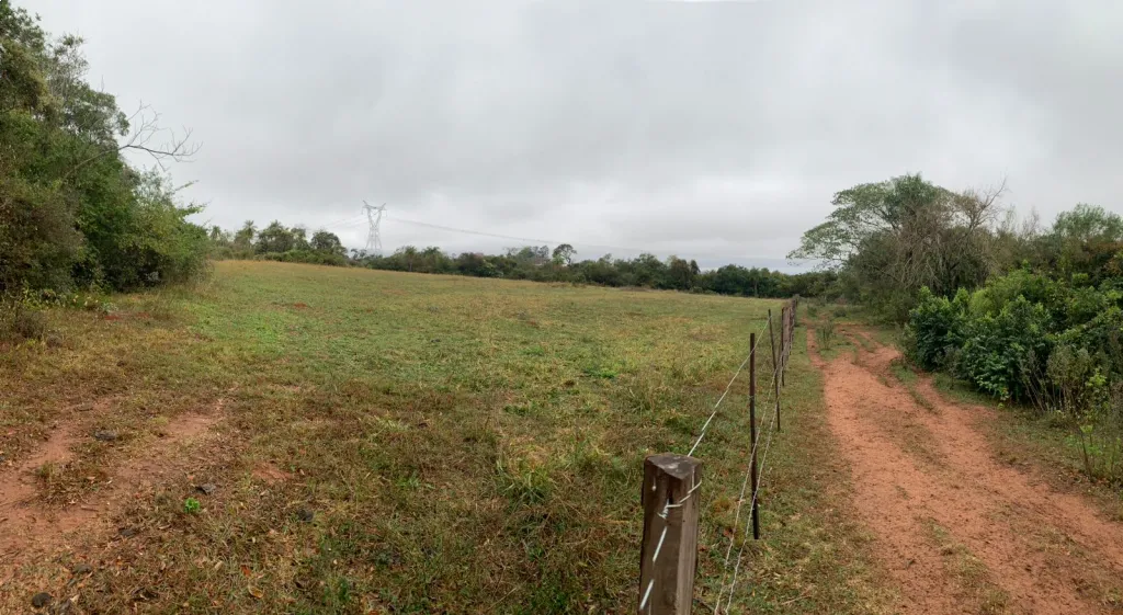 Vendo hermoso campo de 183 has en San Juan misiones km 188 Ruta 1 — foto 2