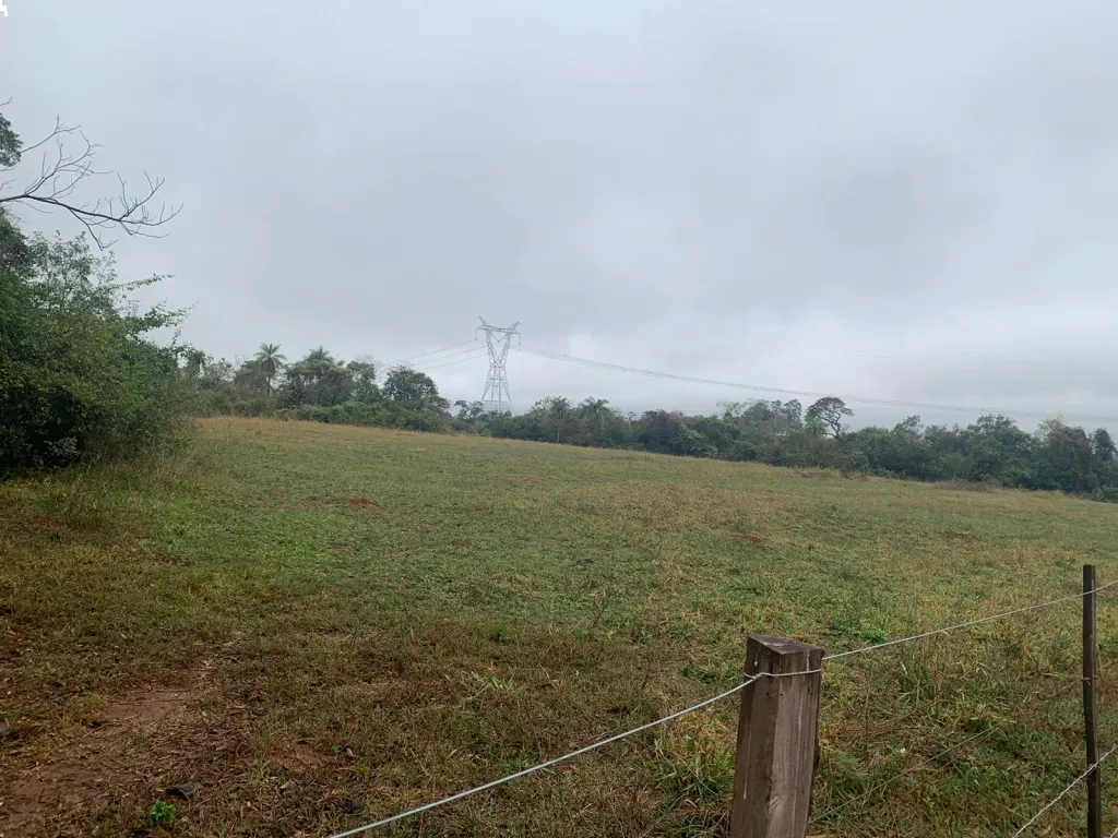 Vendo hermoso campo de 183 has en San Juan misiones km 188 Ruta 1 — foto 3