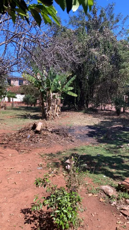 Hermosa propiedad para inversión en San Lorenzo — foto 3