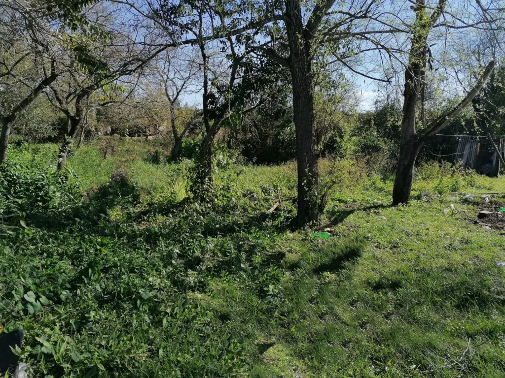 TERRENO EN VENTA EN CAPIATA — foto 2