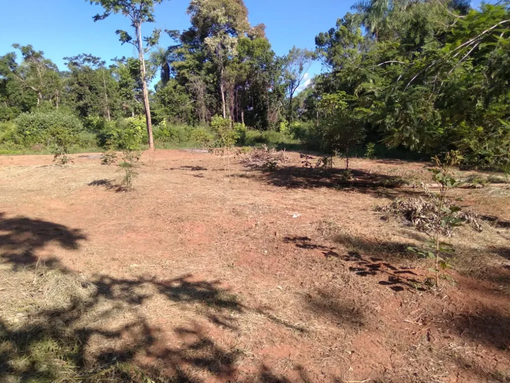 VENDO TERRENO EN LUQUE A 5 MINUTOS DEL AEROPUERTO — foto 2