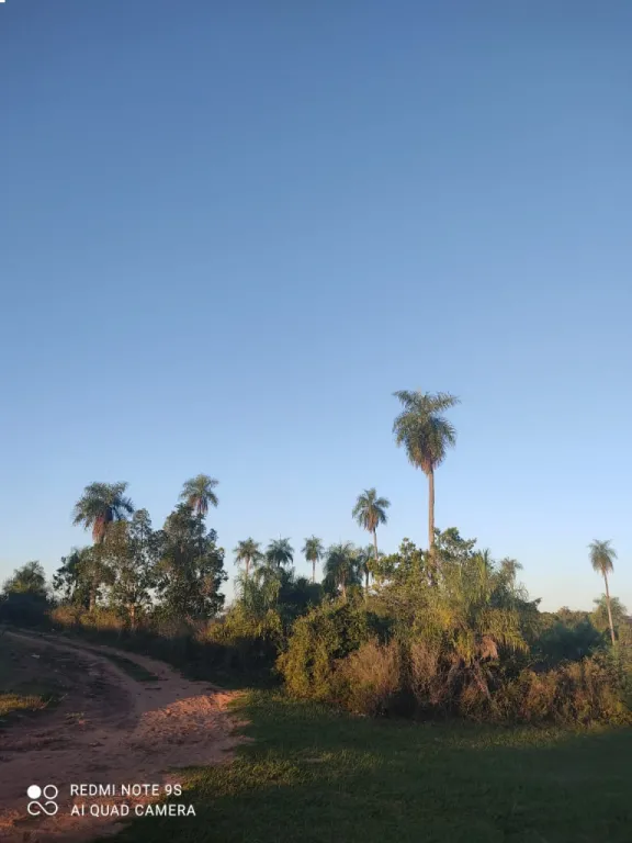 Terreno en venta en la entrada de Itagua — foto 2