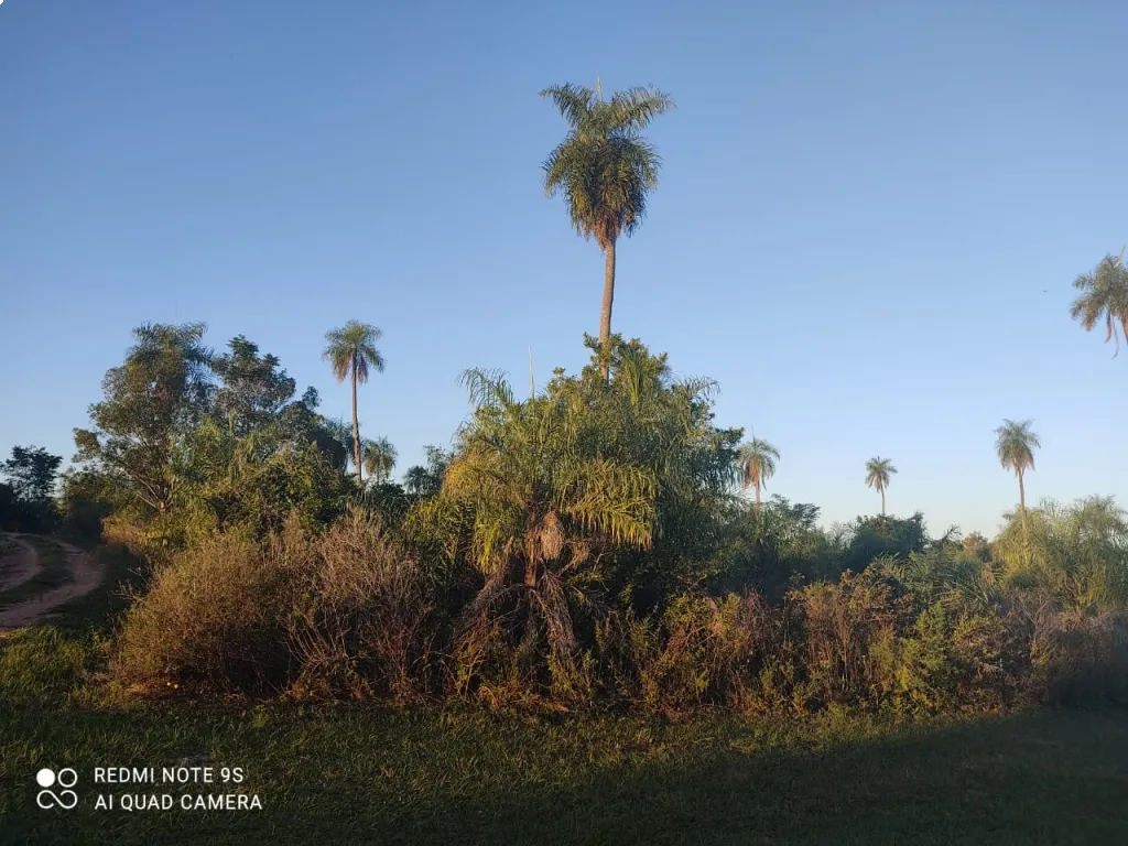 Terreno en venta en la entrada de Itagua — foto 3