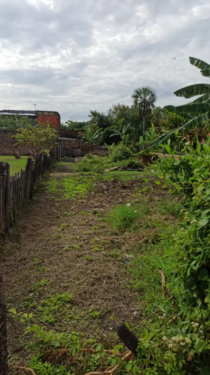 VENDO TERRENO EN VILLA HAYES — foto 2