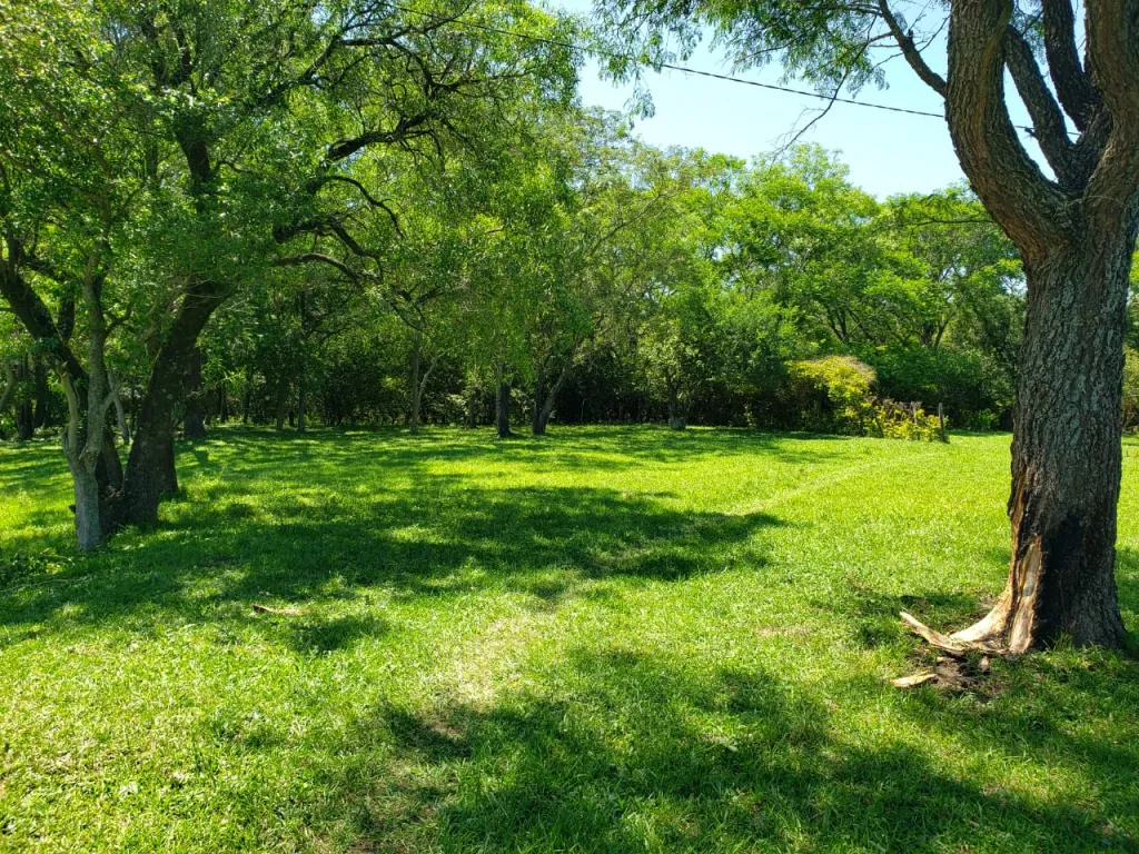 VENDO PROPIEDAD EN ESCOBAR PARAGUARI COD 3960 — foto 3