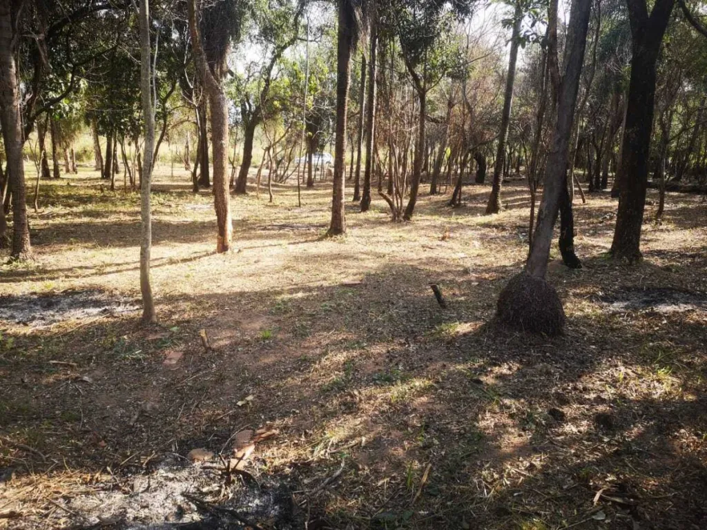 TERRENO EN VENTA EN SAN BERNARDINO — foto 2