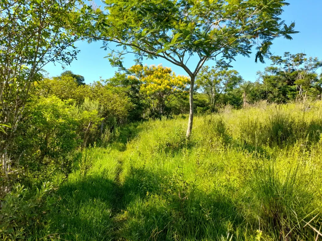VENDO TERRENO EN SAN JOSÉ OBRERO CORDILLERA. — foto 2