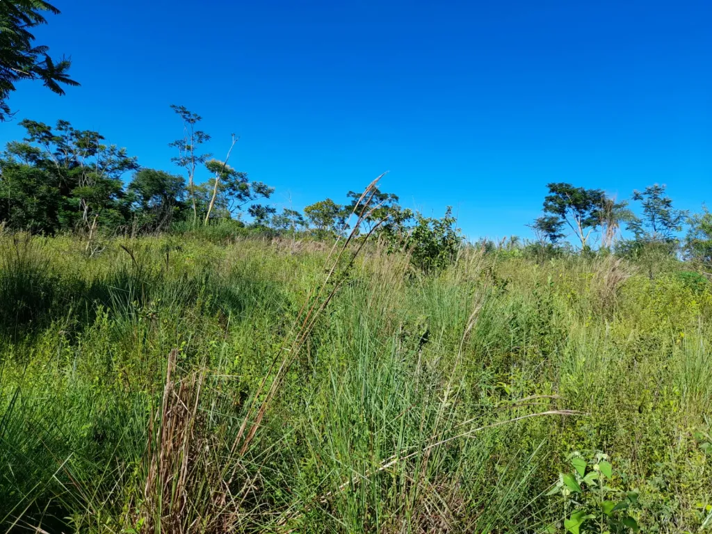 VENDO TERRENO EN SAN JOSÉ OBRERO CORDILLERA. — foto 3