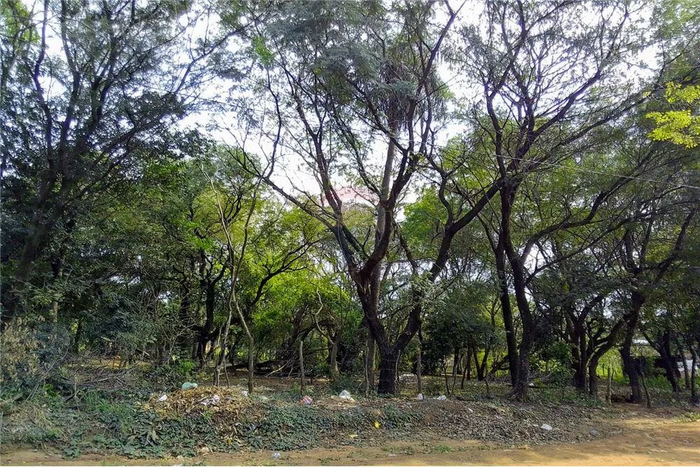 VENDO AMPLIO TERRENO EN SAN LORENZO 1,850,000,000 ₲ — foto 2