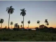 Vento Terreno en Altos Zona Ybu