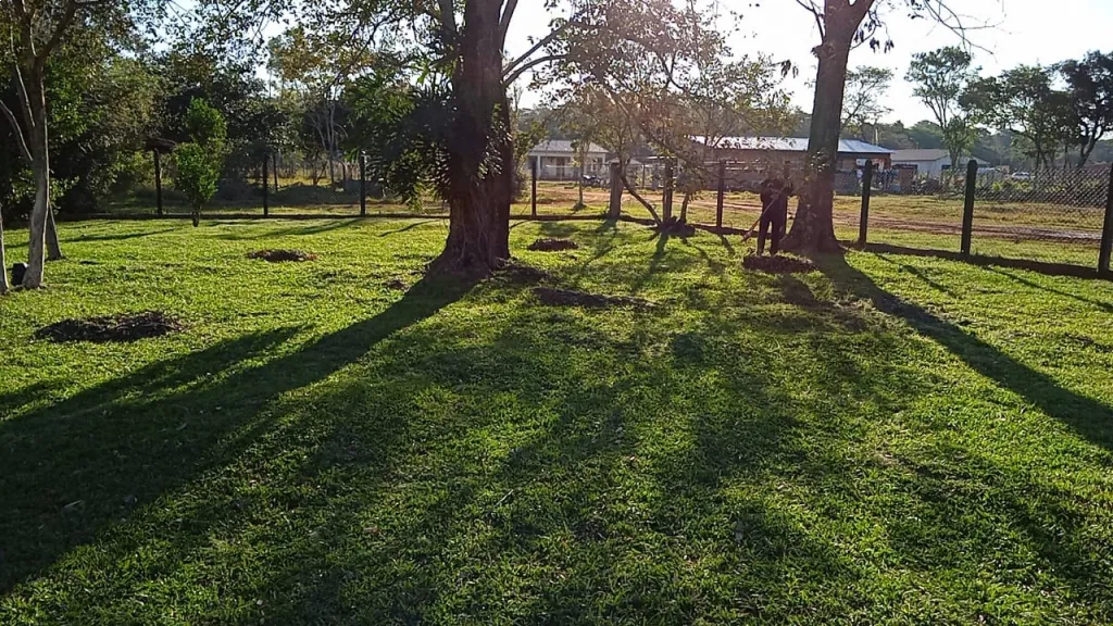 Vendo 3 Terrenos juntos o separados en esquina en Colonia Independencia — foto 2