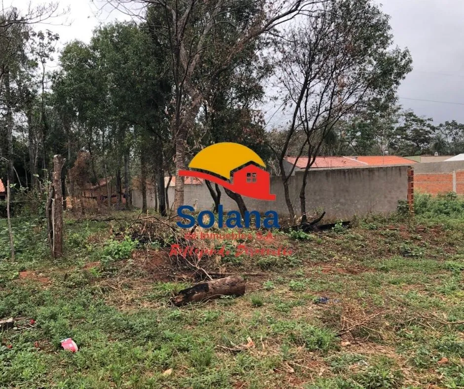 Terreno en Luque — foto 2