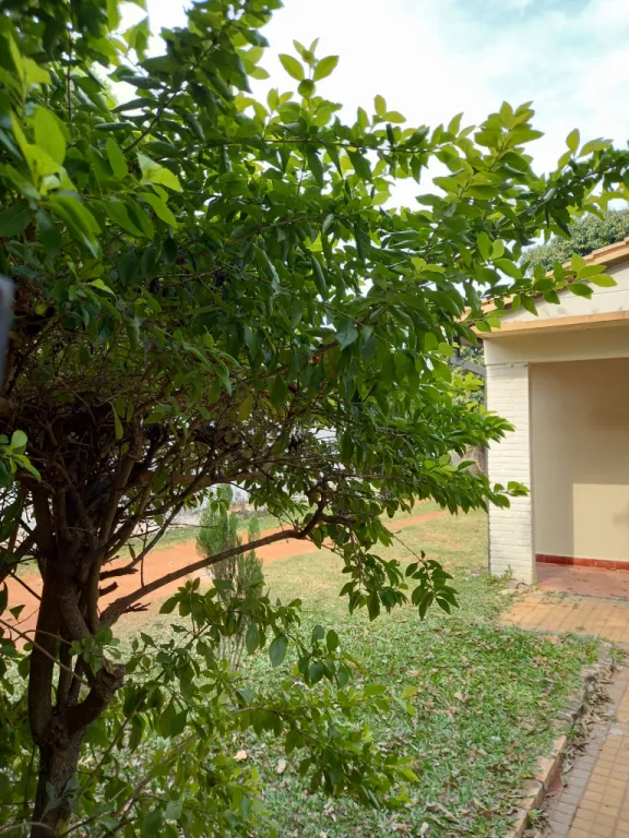 TERRENO SAN VICENTE CON CASA- CHALET — foto 3