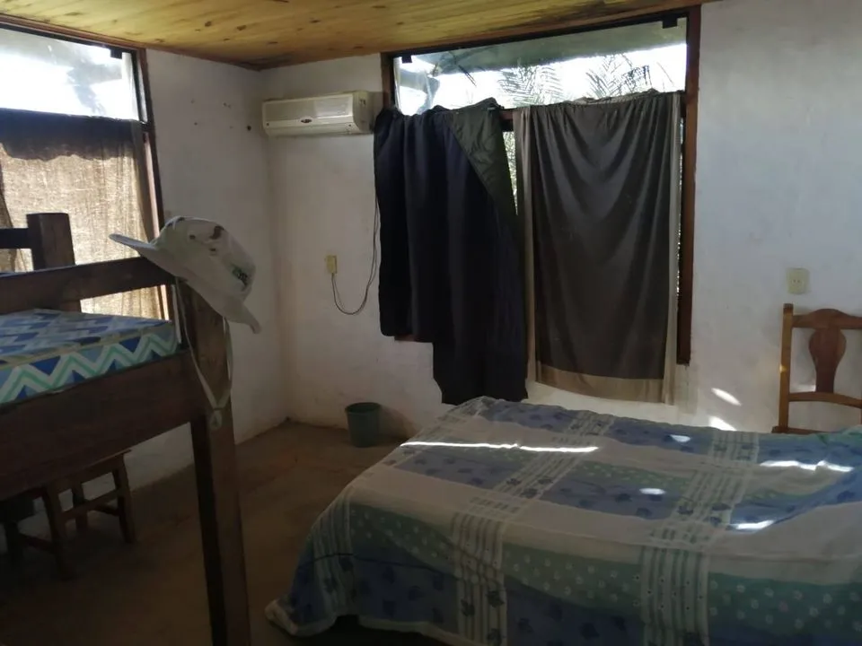 VENDO PROPIEDAD DE 13.4 HECTAREAS EN PIRIBEBUY COD 3307 — foto 3